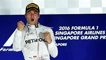 Nico Rosberg slaví titul mistra světa.