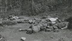Zabití písluníci SS po boji u Blovsi