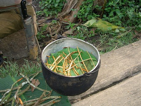 Píprava nápoje ayahuasca