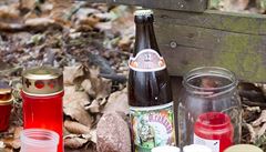 K chalup� na Hráde�ku u Trutnova, ve které p�ed p�ti lety zem�el bývalý...