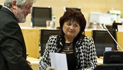 Jana Va�hová v listopadu 2012.