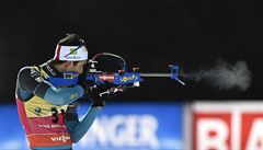 Biatlon, ilustra�ní foto.