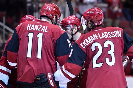 Martin Hanzal se spoluhrái slaví svj gól do sít Edmontonu.