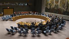 USA zablokovaly rezoluci Rady bezpenosti OSN o klidu zbran, dokument zmioval WHO