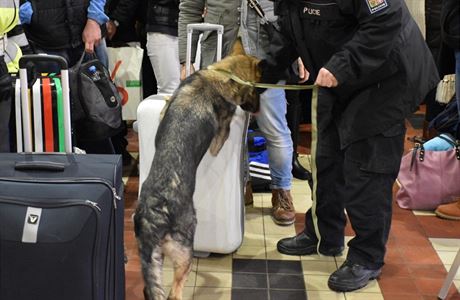 Policejní pes oichává podezelé zavazadlo.
