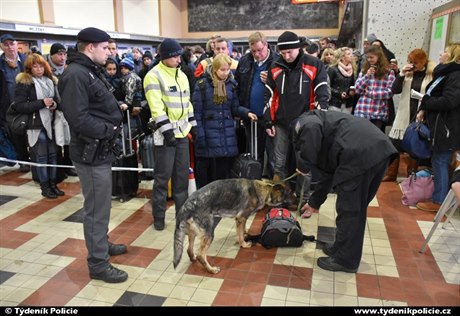 Policejní pes oichává podezelý batoh.