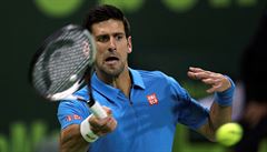 Novak Djokovi ze Srbska ve tvrtfinále turnaje v Dauhá proti Radku tpánkovi.