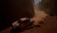 Na Rallye Dakar je moné shlédnout opravdu irokou kálu terénních aut.
