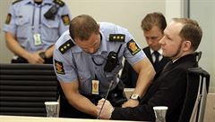 Rozsudek nemu pijmout, ml jsem zabt vc lid, ekl Breivik
