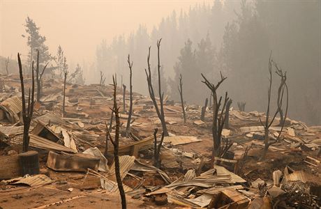 Ohoel stromy a znien krajina po porech v Chile