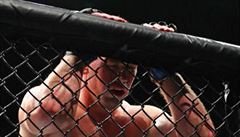 Pešta vymění UFC za XFN. Česká scéna bojových sportů se má nač těšit