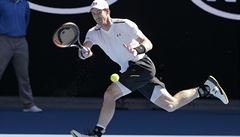 Andy Murray na Australian Open.