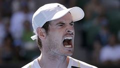 Murray po senzačním konci: Je to jen tenis. Nikde není psáno, že bych v Austrálii vyhrál