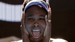 Venus Williamsová zavinila na Floridě smrtelnou nehodu, pozůstalí ji zažalovali