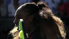 Amerianka Serena Williamsová v semifinále Australian Open.