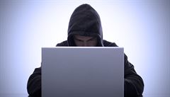 Ruský hacker s Gozi virem vykrádal účty. Zaplatí miliony, do vězení už nemusí