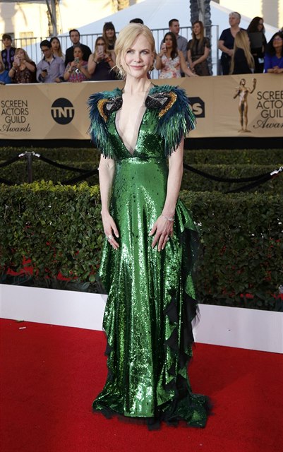 Actress Nicole Kidman arrives at the 23rd Screen Actors Guild Awards in Los...