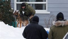 Quebecké policejní jednotky s vycvienými psy
