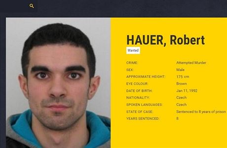 Mezi dvojic nejhledanjch zloinc s eskou nrodnost je i Robert Hauer.