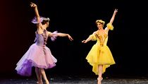 Ballet Hommes Fatals.