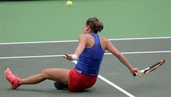 Barbora Strýcová v zápase 1. kola Fed Cupu proti Lae Arruabarrenaové.