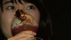 V japonsk restauraci se na valentna servruj zamilovanm brouci