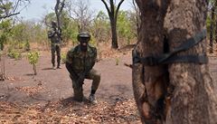 Polovojentí stráci v senegalském národním parku Niokolo Koba.