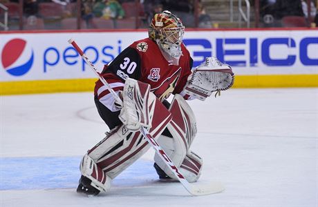 Marek Langhamer nahradil v brán zrannou jedniku Arizona Coyotes Marka Smithe.