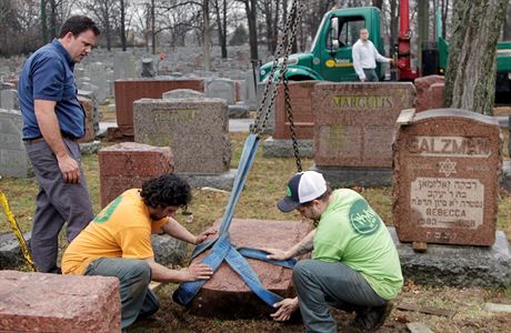 Pracovníci idovského hbitova v St. Louis vztyují zpt jeden ze 140...