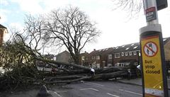 Padlý strom po pívalu boue Doris leí pes hlavní silnici v Isleworthu v...