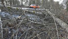 Na Karlovarsku museli pracovníci po tvrtení noci odklízet popadané stromy z...