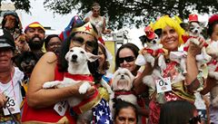 V sobotu v brazislkém Rio de Janeiru zapoal tradiní karneval.