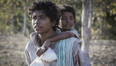Filmové premiéry: strhující hledání cesty domů i Omar Sy jako originální otec