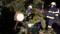 Hasii odklízejí spadlý strom uprosted msta Chebu.