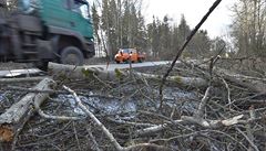 Kvli silnému vtru zasahovali hasii v Karlovarském kraji v noci na 24. února...