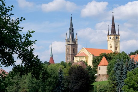 V letoním roce bude v áslavi zahájena rozsáhlá revitalizace zelen.