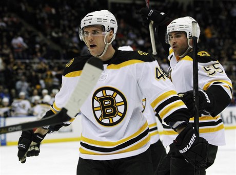 Český hokejista Bostonu Bruins David Krejčí.