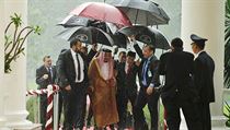 Saudsk krl a indonsk premir Joko Widodo kr pod detnky.