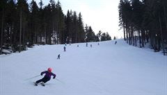 Mírnjí a v podstat nejdelí sjezdovka je na piáku modrá Turistická, která...