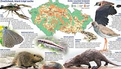 �ivo�ichové, které trápí sucho