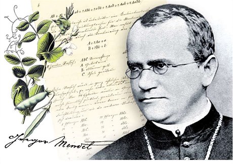 Gregor Johann Mendel