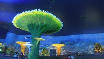 Chimelong Ocean Kingdom v n