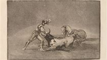 Francisco Goya y Lucientes. Lepty bch zpas ze srie La Tauromaquia.