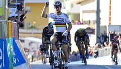 Peter Sagan slaví etapový vavín na Tirreno Adriatico.