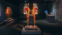 Poadatelé výstavy Body The Exhibition jsou v esku terem kritiky, která je...
