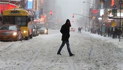 Snhová boue zasáhla Manhattan.