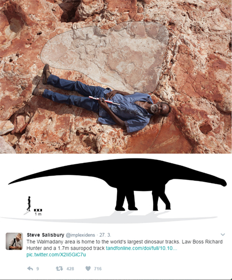 Vdci nalezli na pobeí Austrálie otisky stop 21 dinosaur