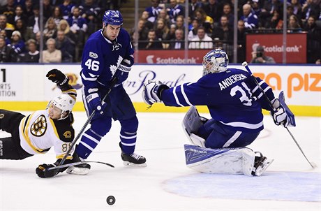 eský hrá Toronto Maple Leafs Roman Polák.