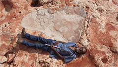 Vědci nalezli v Austrálii největší dinosauří stopu světa. Je velká jako člověk