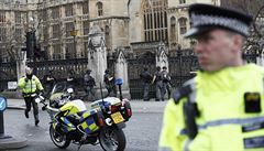 Policie v okolí Westminsterského paláce